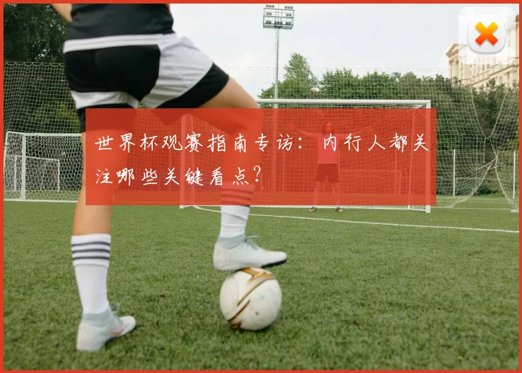 世界杯观赛指南专访：内行人都关注哪些关键看点？