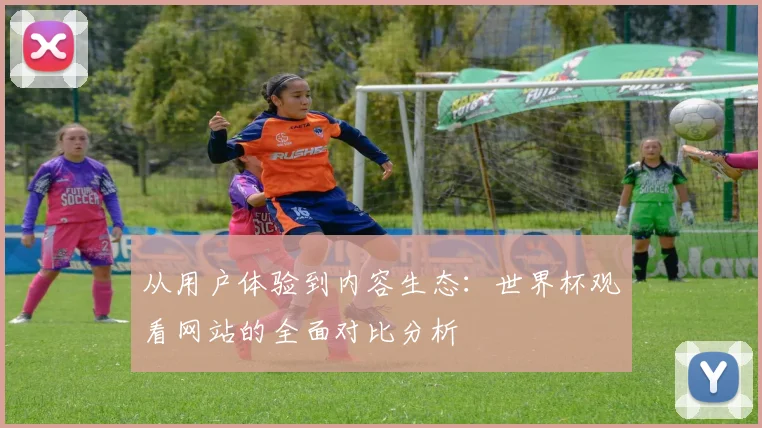 从用户体验到内容生态:世界杯观看网站的全面对比分析