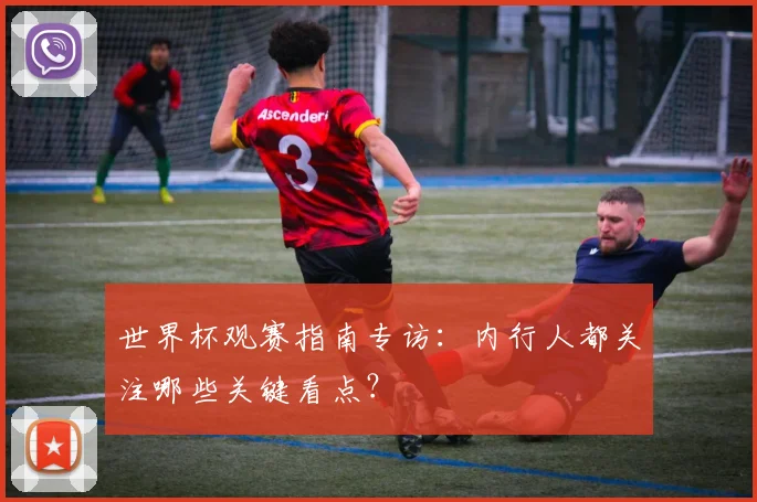 世界杯观赛指南专访:内行人都关注哪些关键看点?