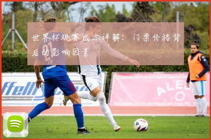 世界杯观赛成本详解：门票价格背后的影响因素