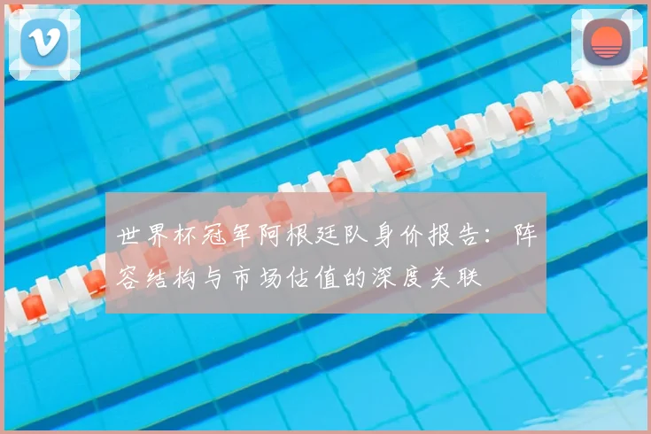 世界杯冠军阿根廷队身价报告:阵容结构与市场估值的深度关联