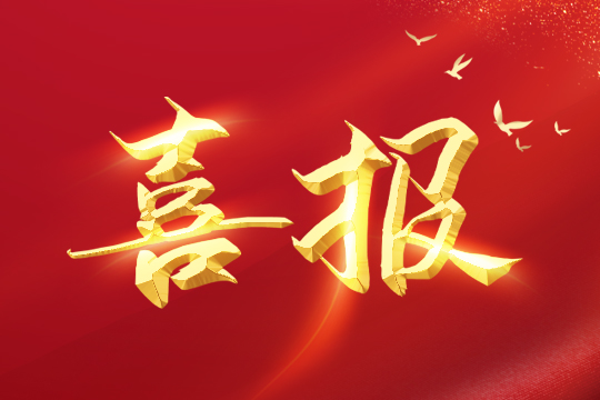 喜报 | 永利集团官网荣登2024粤港澳大湾区企业创新力榜单